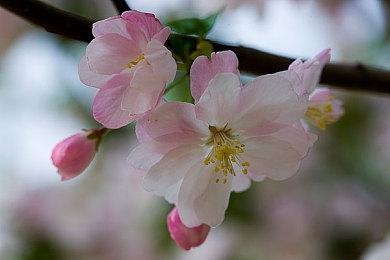 粉丝制作新作《数码宝贝：网络驱动器》免费发布